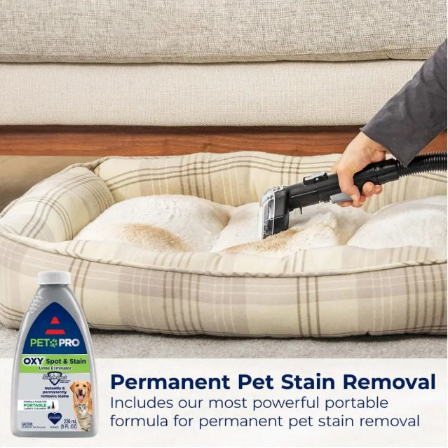 DirtGo™ Carpet Cleaner