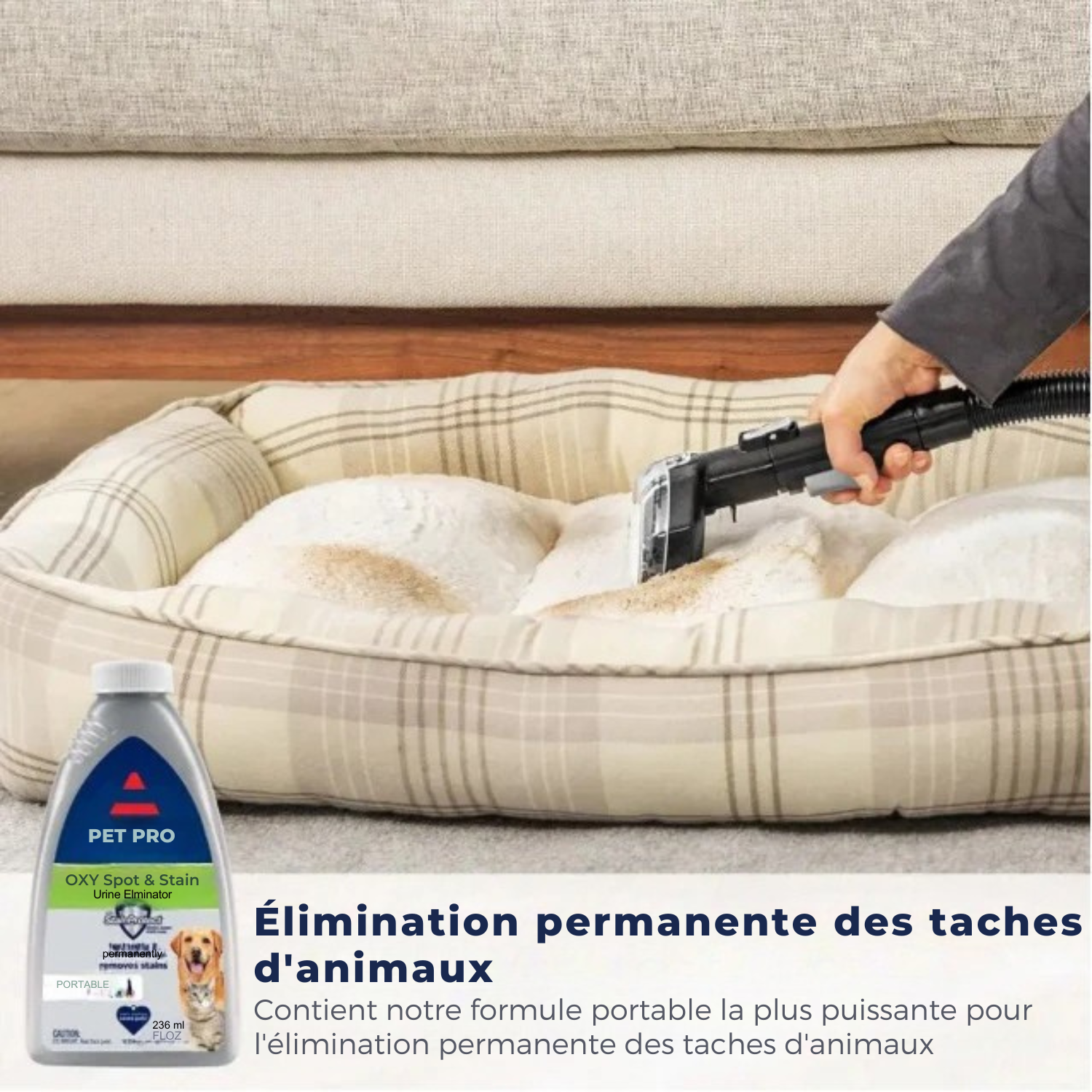 DirtGo™ Nettoyeur de tapis