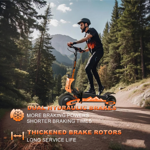 RoadBlaze™ Dual-Motor Folding Electric Scooter