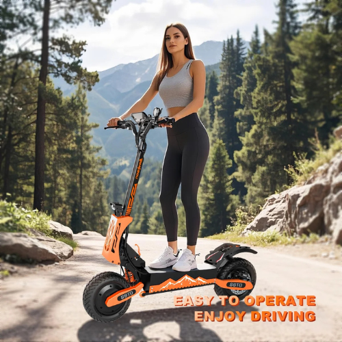 RoadBlaze™ Dual-Motor Folding Electric Scooter